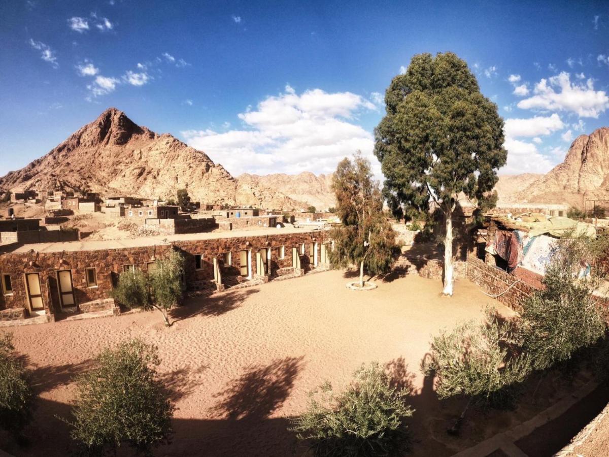 Sheikh Mousa Bedouin Camp Saint Catherine Exterior photo